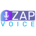 zapvoice.com